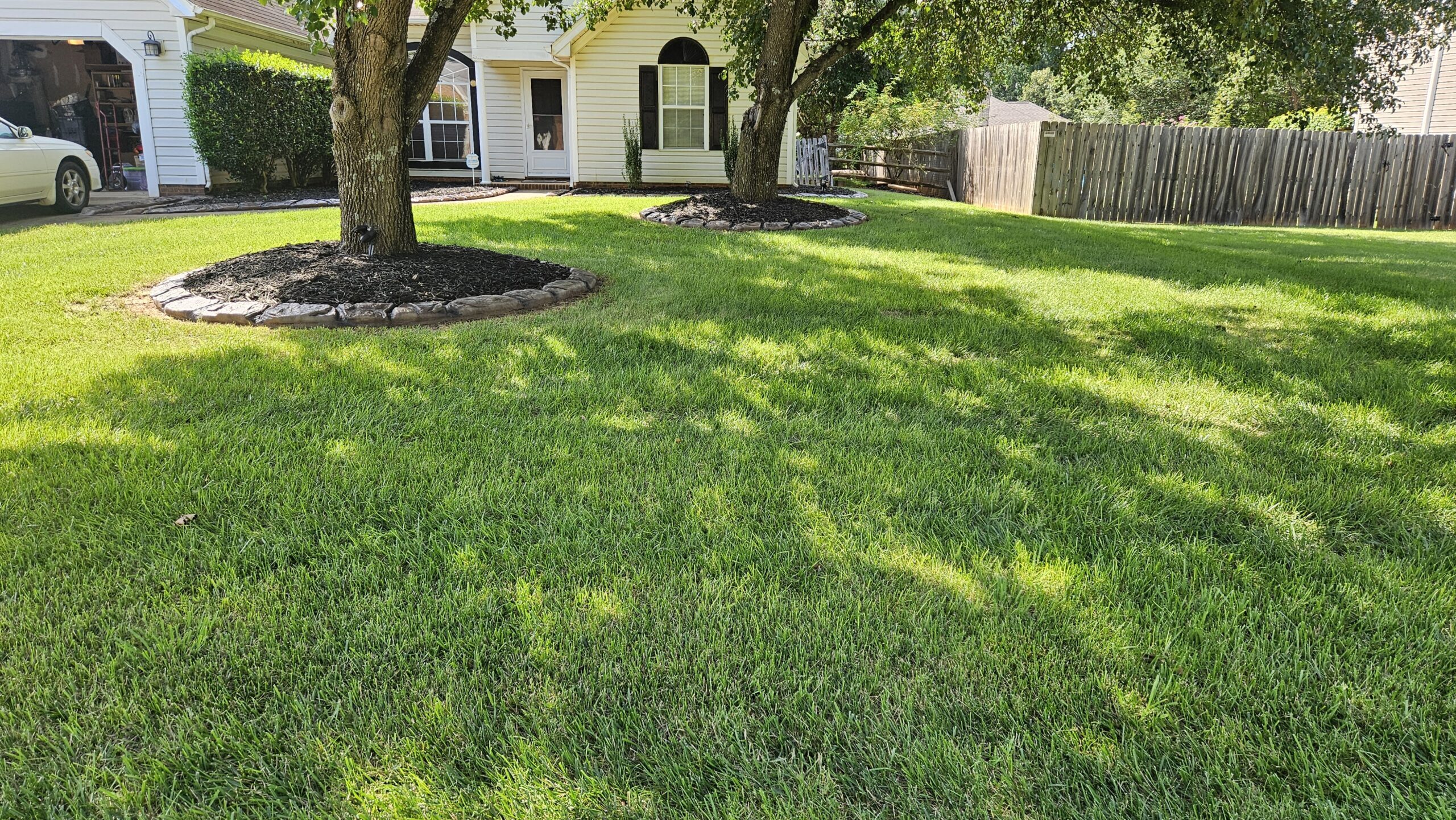 Four season lawn care